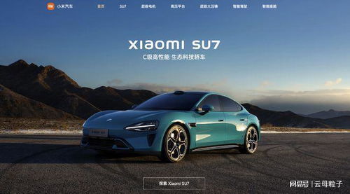 小米正式入局 攪動(dòng)新能源汽車(chē)市場(chǎng)